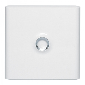 001331 LEGRAND PORTE OPAQUE POUR COFFRET 1R