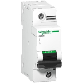 DISJ C120H 1P 100A D 10000A/15KA