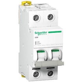 INT SECT 2P 100A 415VAC