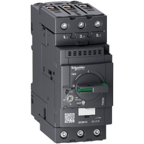 Disjoncteur 73A Everlink