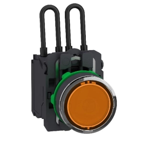 XB5AW25B5 SCHNEIDER VOYANT PLASTIQUE - POUSSE
