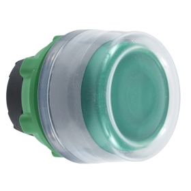 tête BP Ø22 capuchonné vert tête BP Ø22 capuchonné vert