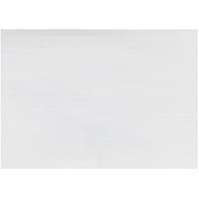 100 LEGEND STRIPS FOR COV