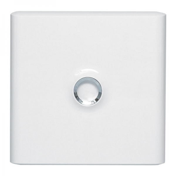 001331 LEGRAND PORTE OPAQUE POUR COFFRET 1R