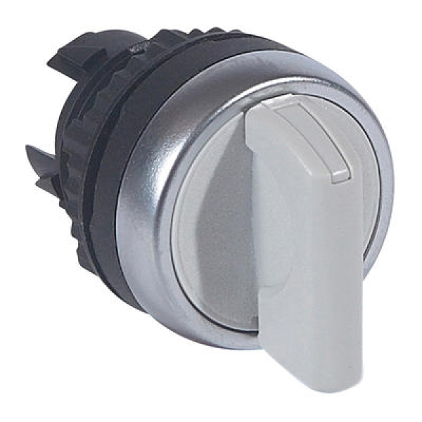 023904 LEGRAND ACS TETE TOUR MAN 2P GRIS