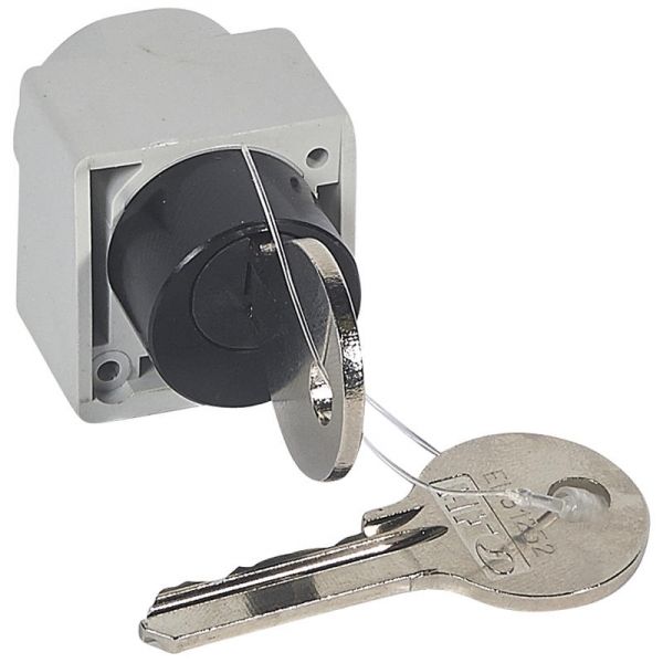 026159 LEGRAND SERRURE RONIS MOTEUR DPX