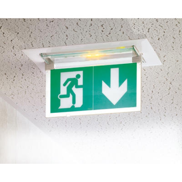 062685 LEGRAND PLAQUE EVAC BLOCS ECO IP43