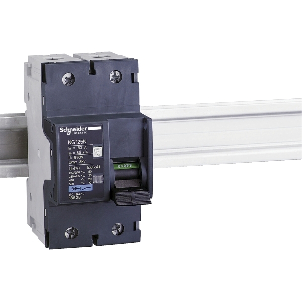 18629 SCHNEIDER Disjoncteur modulaire NG125N 2P 80A courbe C 25KA