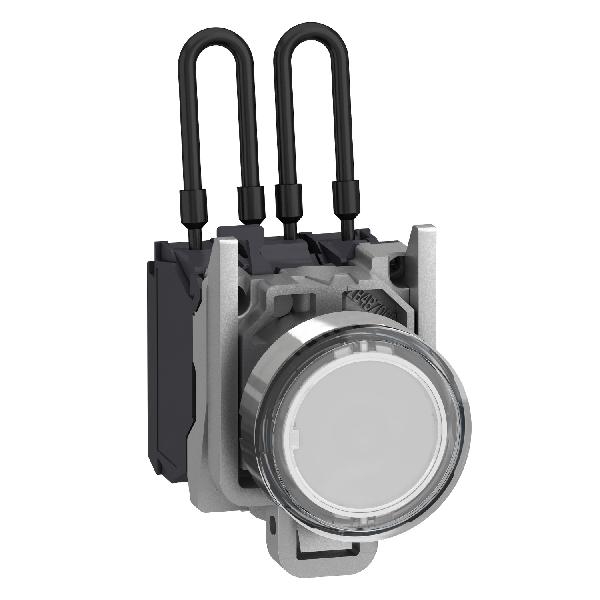XB4BW21G5 SCHNEIDER VOYANT METAL - POUSSER PO