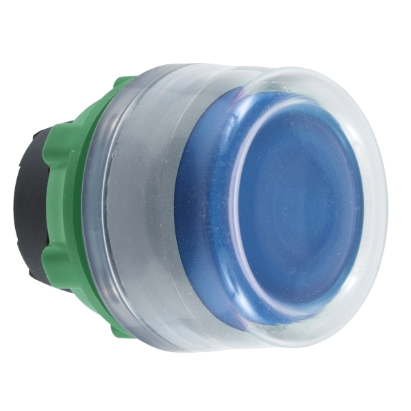 tête BP Ø22 capuchonné bleu
