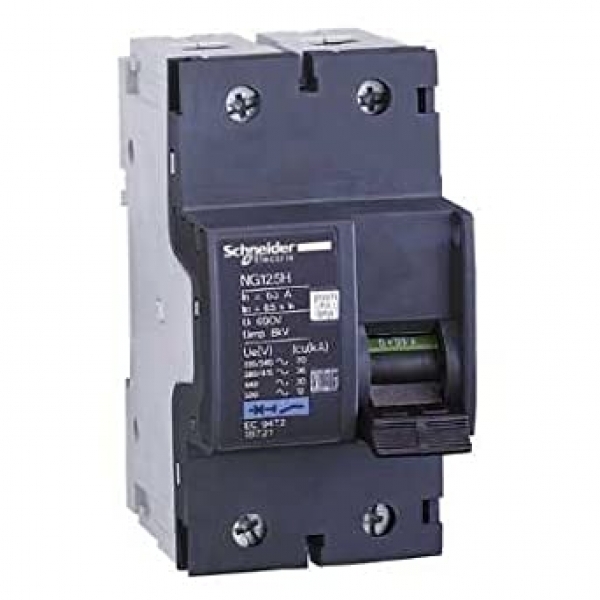 18792 SCHNEIDER Disjoncteur modulaire NG125L 2P 32A courbe C 50KA