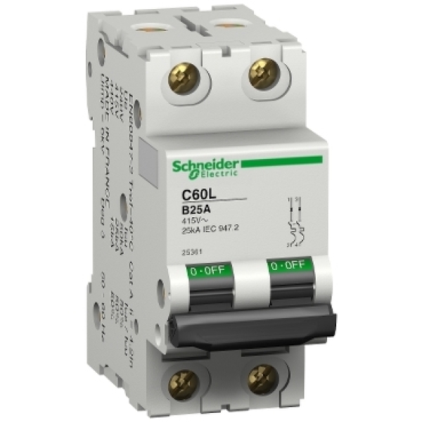 25357 SCHNEIDER Disjoncteur modulaire C60L 2P 6A B 15000/25kA